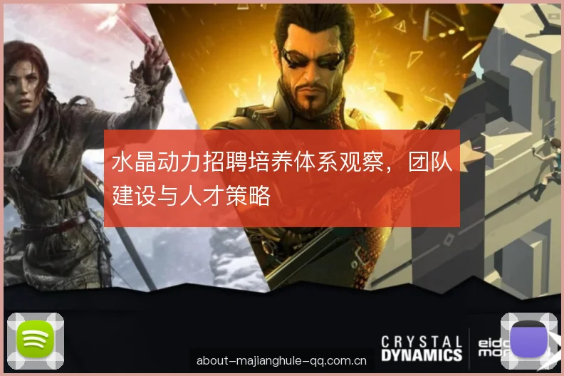 水晶动力招聘培养体系观察，团队建设与人才策略